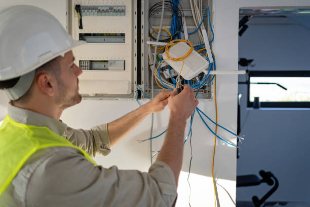 Best Electric Panel Repair  in Embreeville, TN